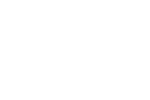 dp_sc_lm.png