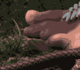 kc_cs2.pngjpg