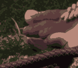 kc_cs3.pngjpg