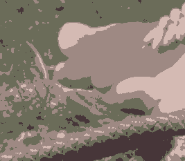kc_ex4.pngjpg