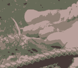 kc_exc4.pngjpg