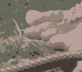 kc_exc5.pngjpg