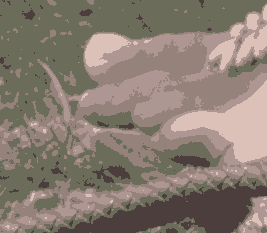 kc_fm_nsd1.pngjpg