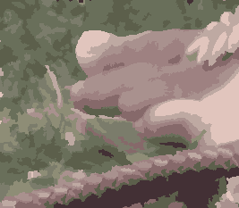 kc_p_lim1.pngjpg