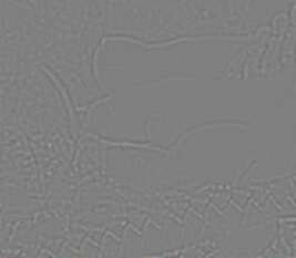 mspl3_full_3.miffjpg