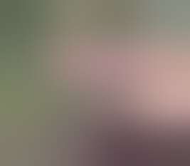 mspl6_full_6.miffjpg