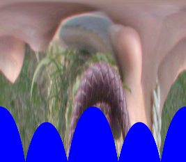 pd_src_u.pngjpg