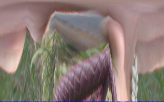 pd_toes_t1.pngjpg
