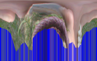 pd_toes_t2.pngjpg
