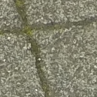 si_photo_sub.png