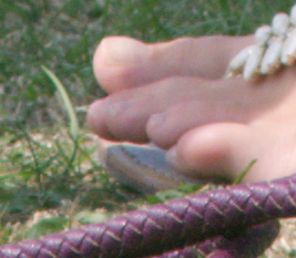 toes_alt.pngjpg