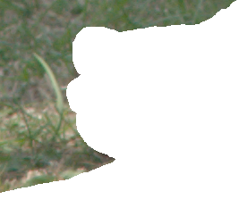 toes_holed.pngjpg