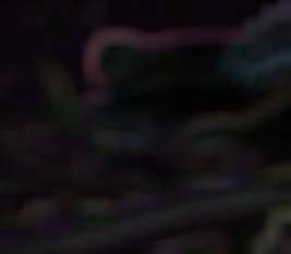 wms_sdii1.pngjpg